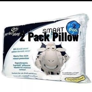 2 Serta Standard/queen Bed Pillow Pillow(new)